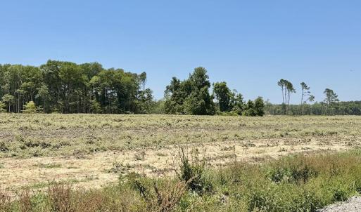 Photo #49 of 500 Indian Trail, Edenton, NC 964.4 acres