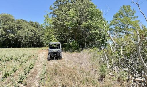 Photo #54 of 500 Indian Trail, Edenton, NC 964.4 acres