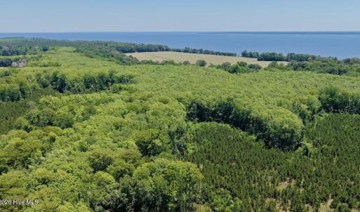 Photo #14 of 500 Indian Trail, Edenton, NC 964.4 acres