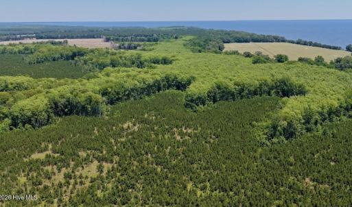 Photo #17 of 500 Indian Trail, Edenton, NC 964.4 acres