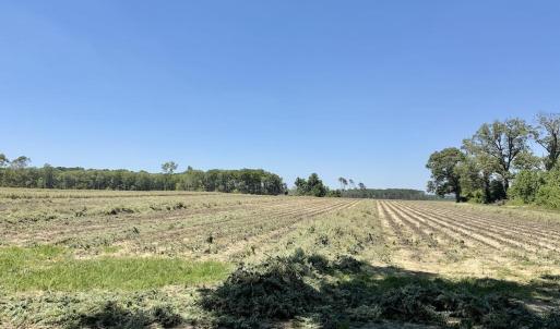 Photo #47 of 500 Indian Trail, Edenton, NC 964.4 acres