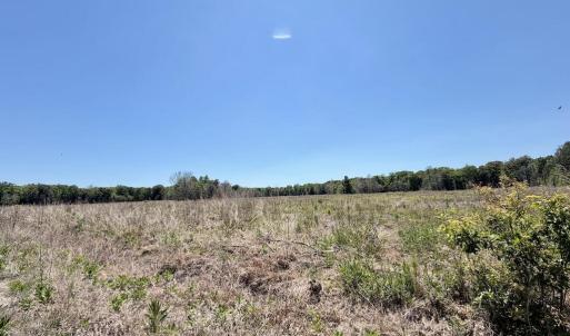 Photo #58 of 500 Indian Trail, Edenton, NC 964.4 acres