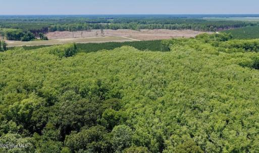 Photo #31 of 500 Indian Trail, Edenton, NC 964.4 acres