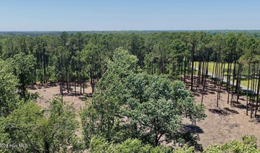 Photo #46 of 500 Indian Trail, Edenton, NC 964.4 acres