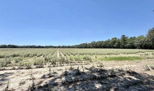 Photo #51 of 500 Indian Trail, Edenton, NC 964.4 acres