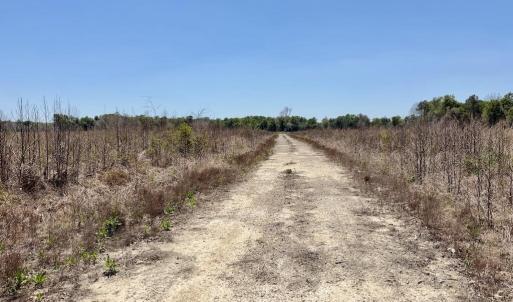 Photo #57 of 500 Indian Trail, Edenton, NC 964.4 acres