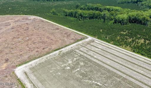 Photo #20 of 500 Indian Trail, Edenton, NC 964.4 acres