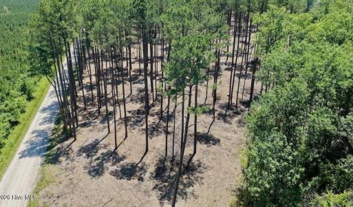 Photo #44 of 500 Indian Trail, Edenton, NC 964.4 acres