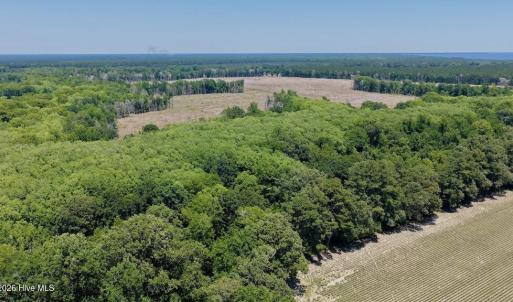 Photo #32 of 500 Indian Trail, Edenton, NC 964.4 acres