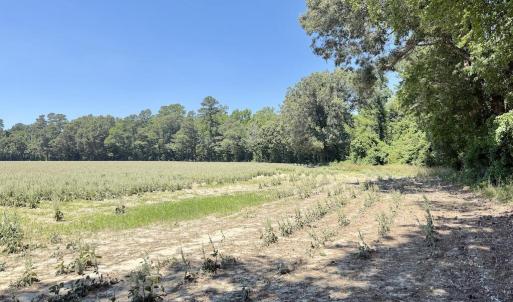 Photo #50 of 500 Indian Trail, Edenton, NC 964.4 acres