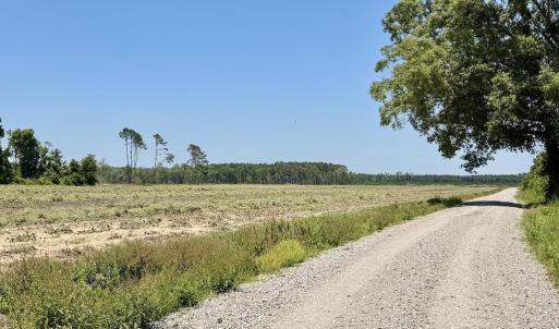 Photo #48 of 500 Indian Trail, Edenton, NC 964.4 acres