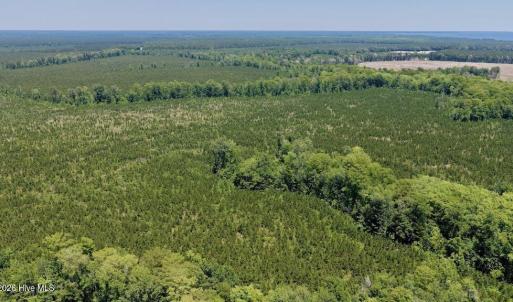 Photo #24 of 500 Indian Trail, Edenton, NC 964.4 acres