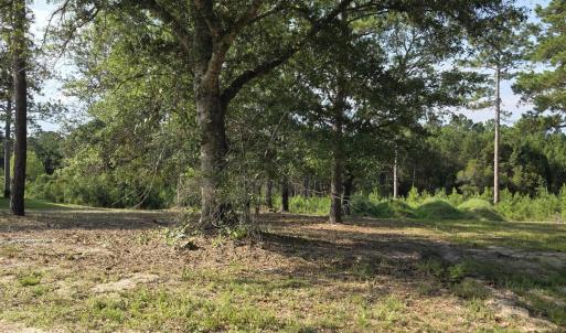 Photo #4 of 7547 Wallace, Sunset Beach, NC 0.3 acres