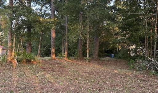 Photo #5 of Lot 2 Newberry, Roper, NC 1.0 acres