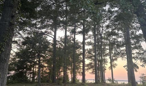 Photo #4 of Lot 2 Newberry, Roper, NC 1.0 acres