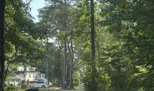 Photo #8 of Lot 2 Newberry, Roper, NC 1.0 acres