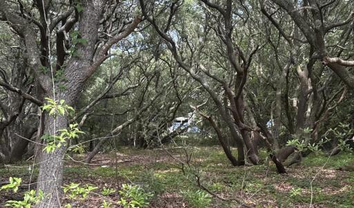 Photo #2 of 2391 Sandpiper, Corolla, NC 0.3 acres