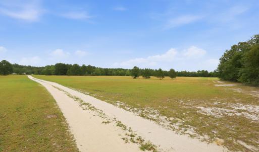 Photo #11 of Roseland, Aberdeen, NC 15.8 acres