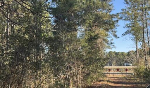 Photo #6 of 1721 Plantation, Wilmington, NC 5.5 acres