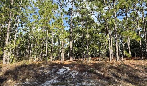 Photo #2 of 585 Westwood, Southport, NC 0.2 acres
