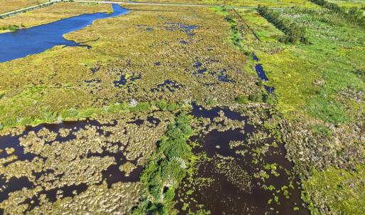 Photo #8 of No Lot # Us 264, Engelhard, NC 108.0 acres