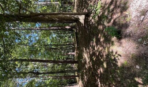 Photo #3 of 109 Chatooga, Hertford, NC 0.4 acres