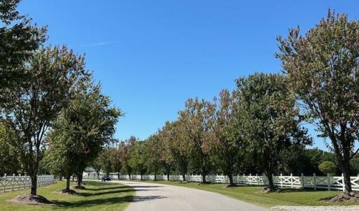 Photo #11 of 109 Chatooga, Hertford, NC 0.4 acres