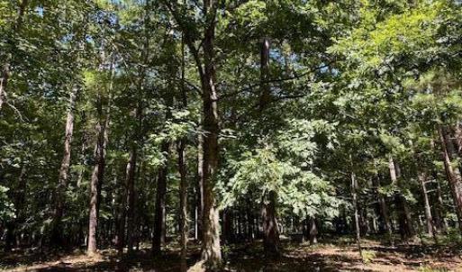 Photo #2 of 109 Chatooga, Hertford, NC 0.4 acres