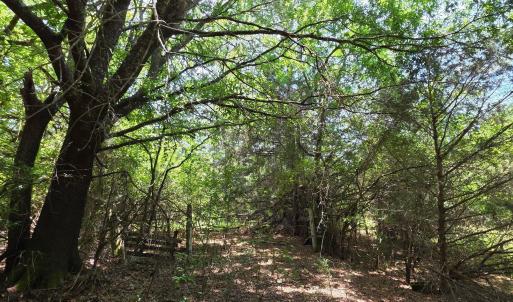 Photo #3 of Chestnut Ridge, McCormick, SC 105.0 acres