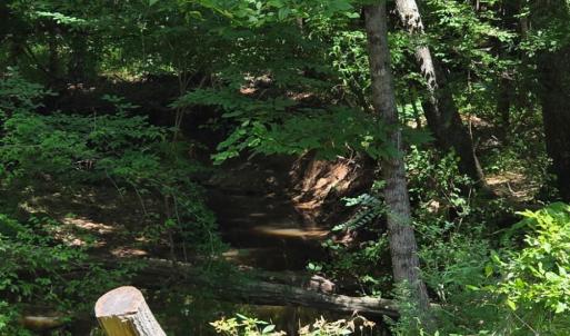 Photo #10 of Chestnut Ridge, McCormick, SC 105.0 acres