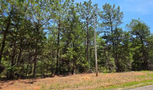 Photo #6 of Chestnut Ridge, McCormick, SC 105.0 acres