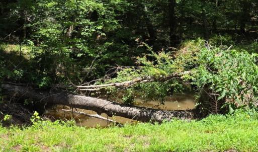 Photo #9 of 10a Chestnut Ridge, McCormick, SC