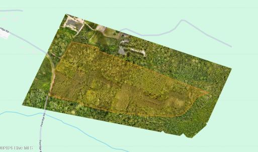 Photo #9 of Tbd Pea Ridge, Roper, NC 46.5 acres