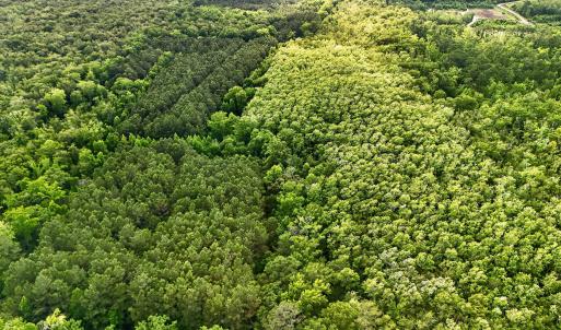 Photo #11 of Tbd Pea Ridge, Roper, NC 46.5 acres