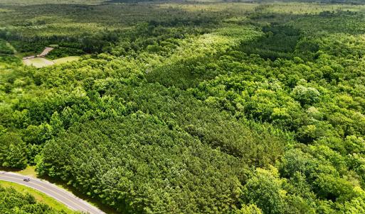 Photo #19 of Tbd Pea Ridge, Roper, NC 46.5 acres