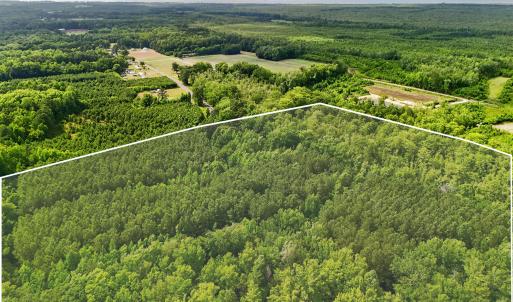 Photo #14 of Tbd Pea Ridge, Roper, NC 46.5 acres