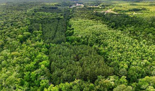 Photo #7 of Tbd Pea Ridge, Roper, NC 46.5 acres