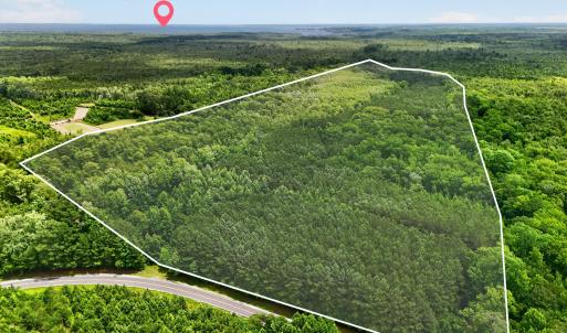 Photo #21 of Tbd Pea Ridge, Roper, NC 46.5 acres