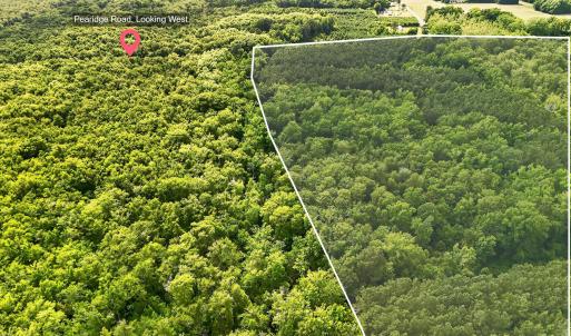 Photo #5 of Tbd Pea Ridge, Roper, NC 46.5 acres