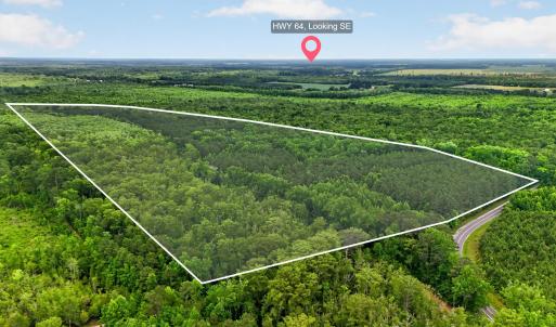 Photo #1 of Tbd Pea Ridge, Roper, NC 46.5 acres