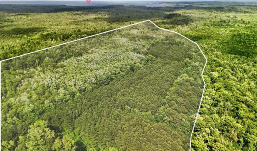 Photo #2 of Tbd Pea Ridge, Roper, NC 46.5 acres