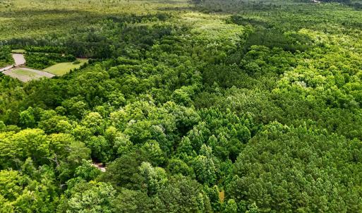 Photo #18 of Tbd Pea Ridge, Roper, NC 46.5 acres