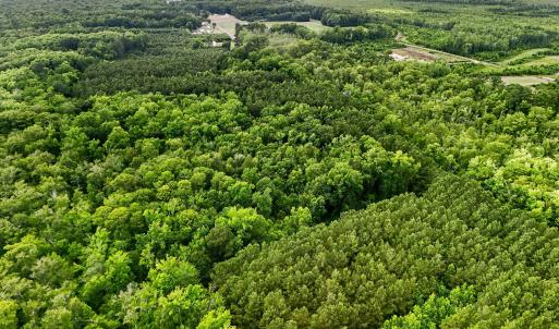 Photo #8 of Tbd Pea Ridge, Roper, NC 46.5 acres