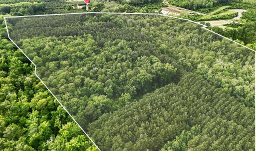 Photo #3 of Tbd Pea Ridge, Roper, NC 46.5 acres