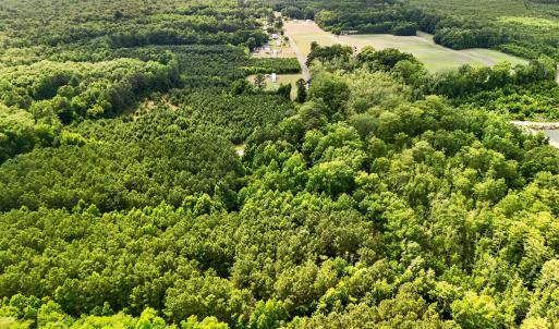 Photo #12 of Tbd Pea Ridge, Roper, NC 46.5 acres