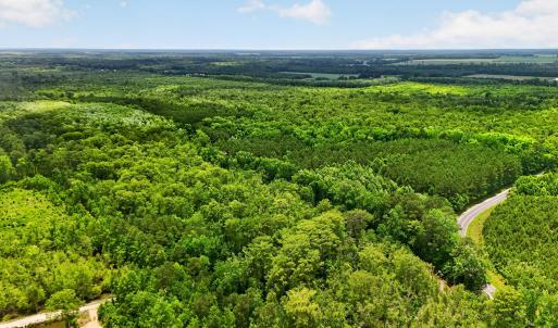 Photo #22 of Tbd Pea Ridge, Roper, NC 46.5 acres