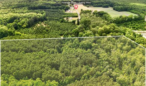 Photo #15 of Tbd Pea Ridge, Roper, NC 46.5 acres
