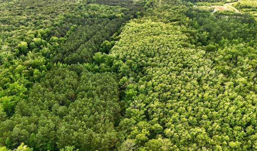Photo #13 of Tbd Pea Ridge, Roper, NC 46.5 acres