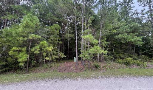Photo #4 of 4110 Arabian, Shallotte, NC 0.4 acres
