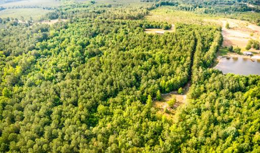 Photo #9 of 3232 Adams, Morven, NC 34.9 acres